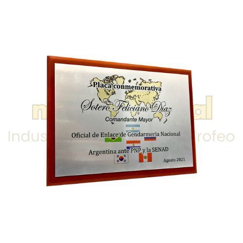 Imagen de Placa de reconocimiento M3.160.